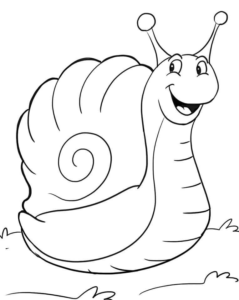 Dibujo gratuito Caracol #177424 de la coleccion Animales para imprimir