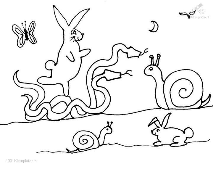 Dibujo para colorear: Caracol (Animales) #6664 - Dibujos para Colorear e Imprimir Gratis