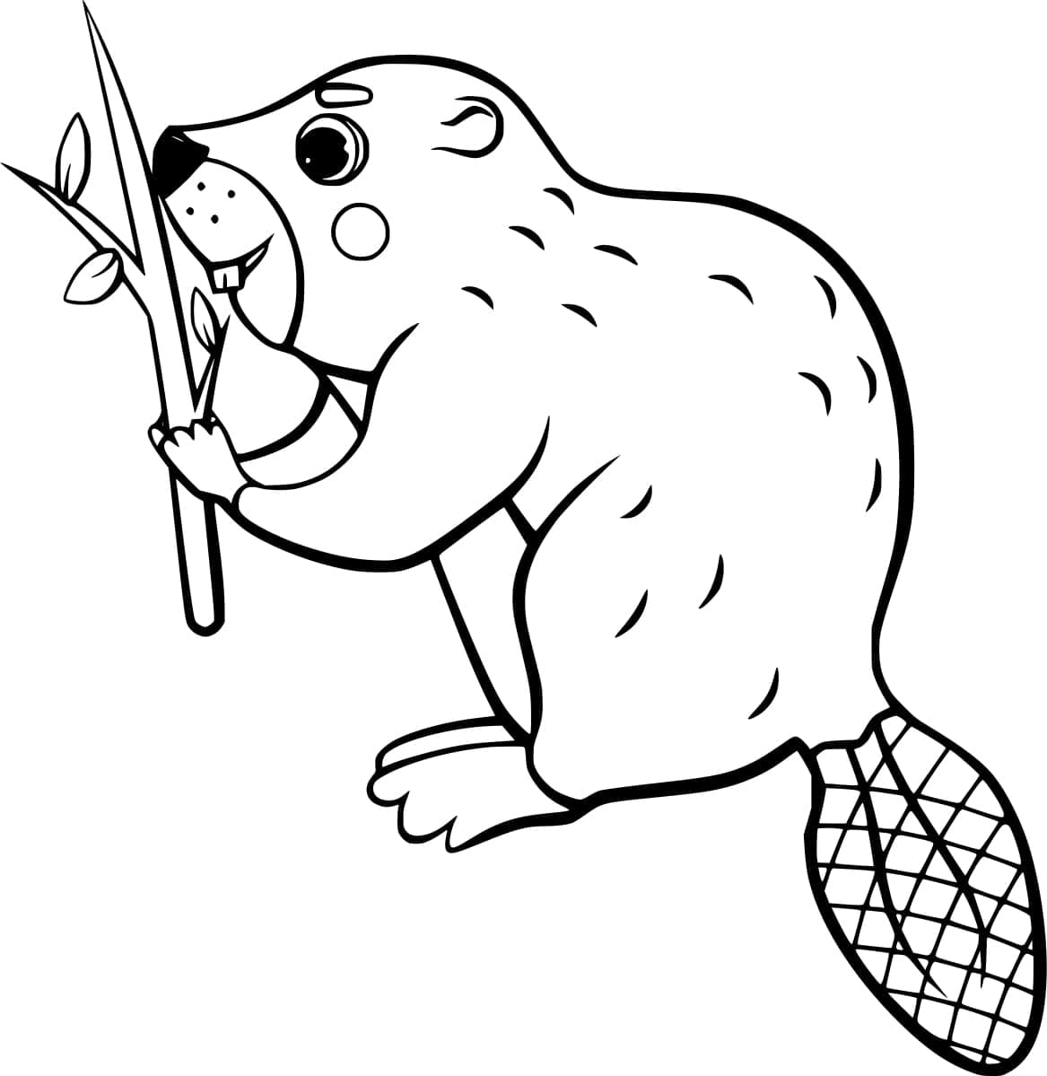 Dibujo gratuito Castor #207196 de la coleccion Animales para imprimir Dibujo gratuito Castor #207196 de la coleccion Animales para imprimir