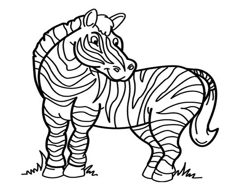 Dibujo para colorear: Cebra (Animales) #12945 - Dibujos para Colorear e Imprimir Gratis