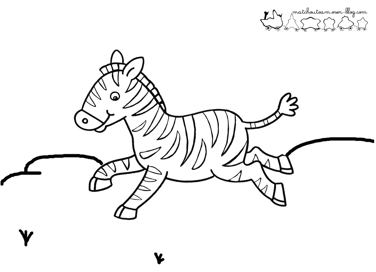 Dibujo para colorear: Cebra (Animales) #12959 - Dibujos para Colorear e Imprimir Gratis