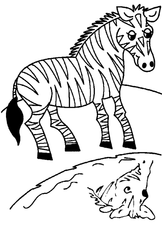 Dibujo para colorear: Cebra (Animales) #13013 - Dibujos para Colorear e Imprimir Gratis