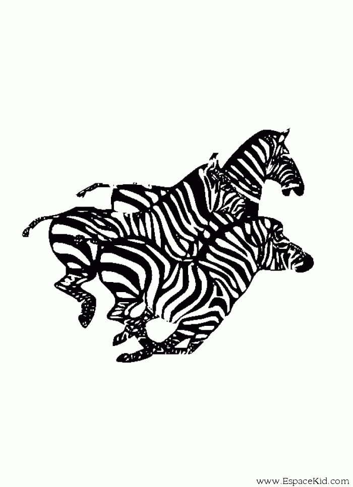 Dibujo para colorear: Cebra (Animales) #13067 - Dibujos para Colorear e Imprimir Gratis