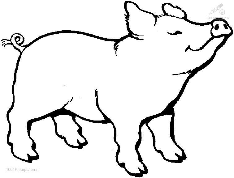 Dibujo para colorear: Cerdo (Animales) #3588 - Dibujos para Colorear e Imprimir Gratis