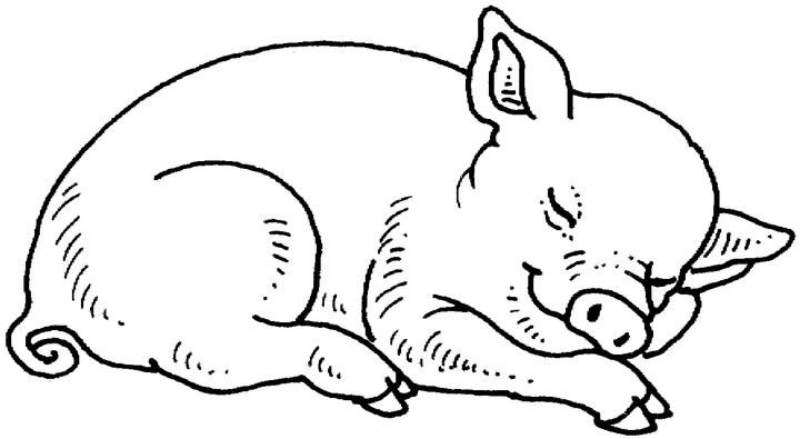 Dibujo para colorear: Cerdo (Animales) #3590 - Dibujos para Colorear e Imprimir Gratis
