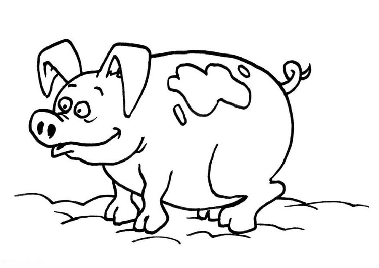 Dibujo para colorear: Cerdo (Animales) #3682 - Dibujos para Colorear e Imprimir Gratis