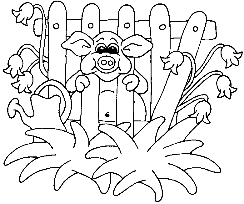 Dibujo para colorear: Cerdo (Animales) #3739 - Dibujos para Colorear e Imprimir Gratis