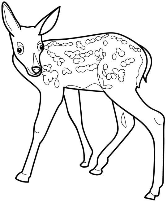 Dibujo gratuito Cervatillo #206066 de la coleccion Animales para imprimir Dibujo gratuito Cervatillo #206066 de la coleccion Animales para imprimir