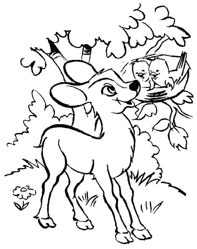 Dibujo gratuito Cervatillo #206071 de la coleccion Animales para imprimir