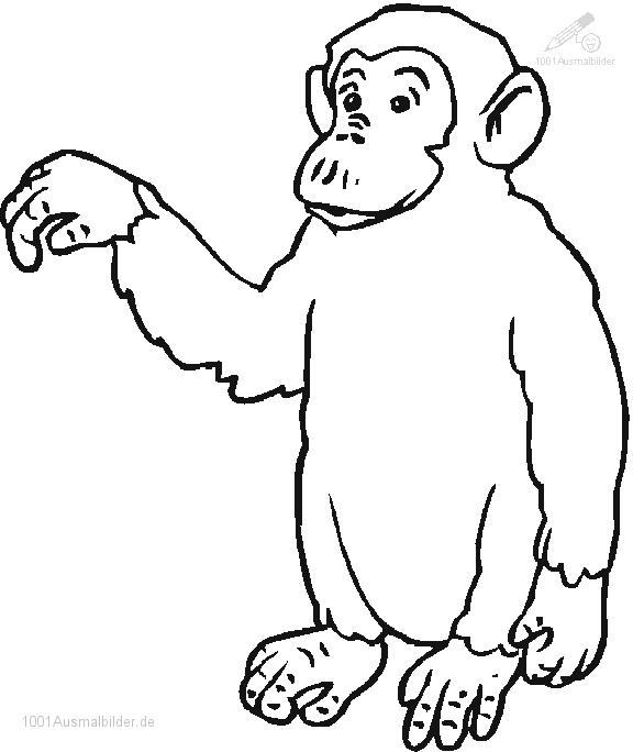 Dibujo para colorear: Chimpancé (Animales) #2805 - Dibujos para Colorear e Imprimir Gratis