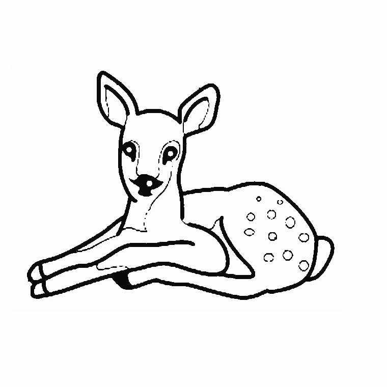 Dibujo para colorear: Cierva (Animales) #1091 - Dibujos para Colorear e Imprimir Gratis