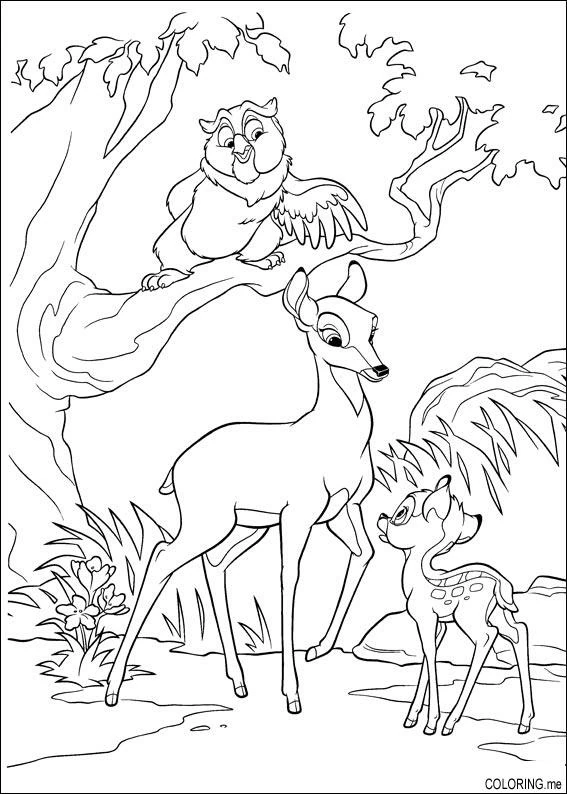 Dibujo gratuito Cierva #1094 de la coleccion Animales para imprimir Dibujo gratuito Cierva #1094 de la coleccion Animales para imprimir