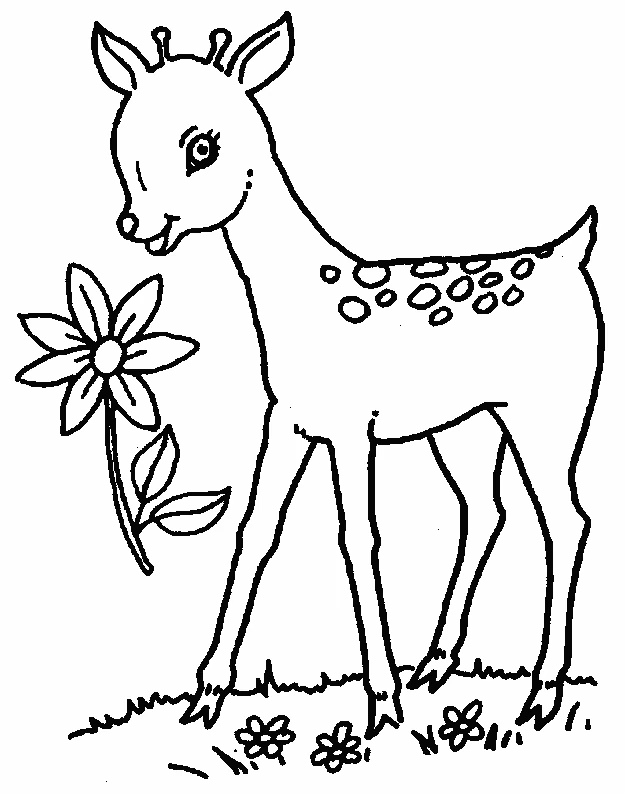 Dibujo gratuito Cierva #1101 de la coleccion Animales para imprimir Dibujo gratuito Cierva #1101 de la coleccion Animales para imprimir