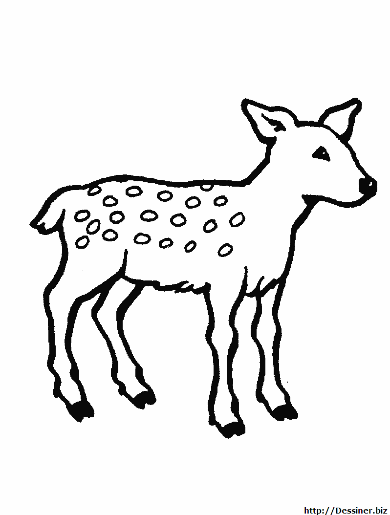 Dibujo gratuito Cierva #1148 de la coleccion Animales para imprimir Dibujo gratuito Cierva #1148 de la coleccion Animales para imprimir