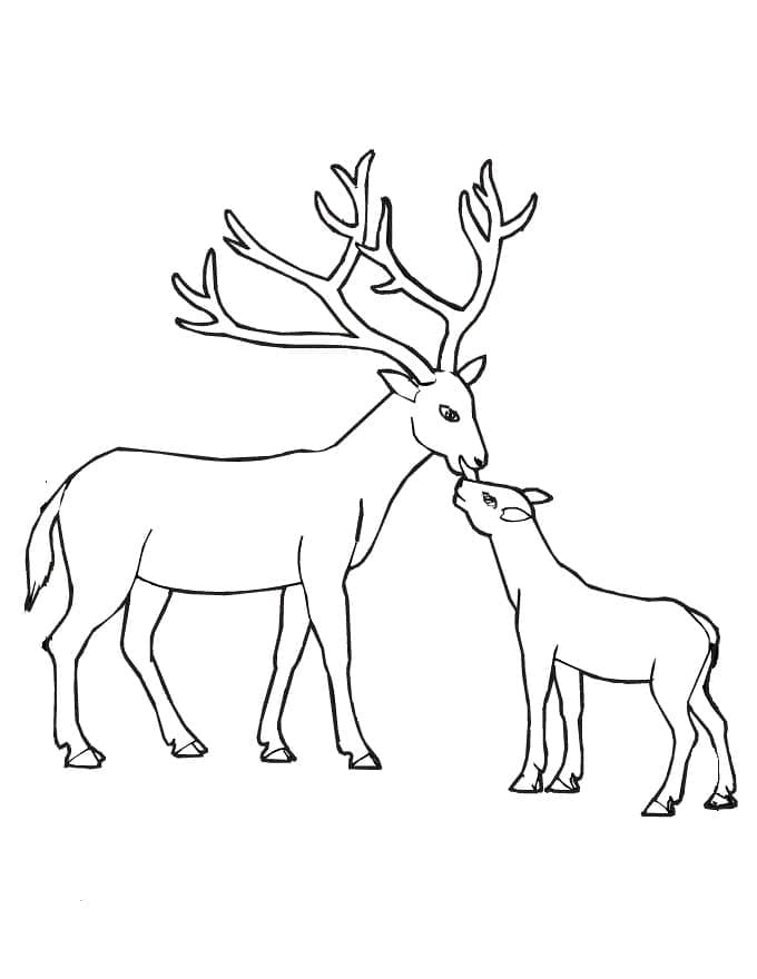 Dibujo gratuito Ciervo #191048 de la coleccion Animales para imprimir