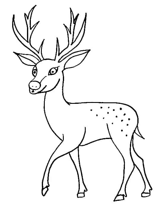Dibujo gratuito Ciervo #191050 de la coleccion Animales para imprimir