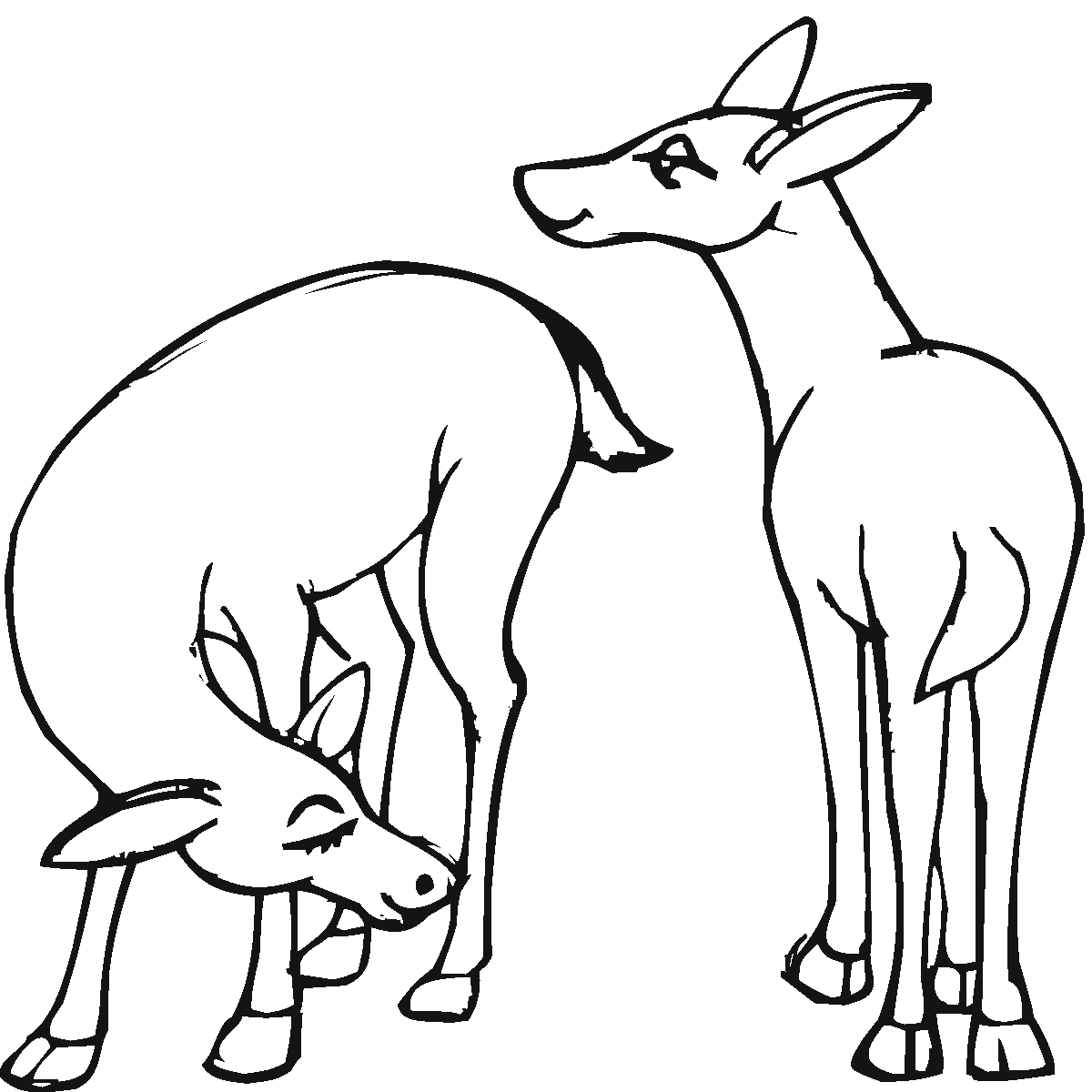 Dibujo gratuito Ciervo #2596 de la coleccion Animales para imprimir Dibujo gratuito Ciervo #2596 de la coleccion Animales para imprimir