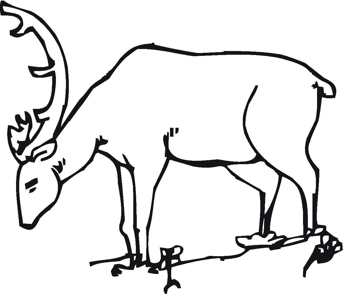 Dibujo gratuito Ciervo #2636 de la coleccion Animales para imprimir Dibujo gratuito Ciervo #2636 de la coleccion Animales para imprimir