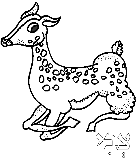 Dibujo gratuito Ciervo #2711 de la coleccion Animales para imprimir Dibujo gratuito Ciervo #2711 de la coleccion Animales para imprimir