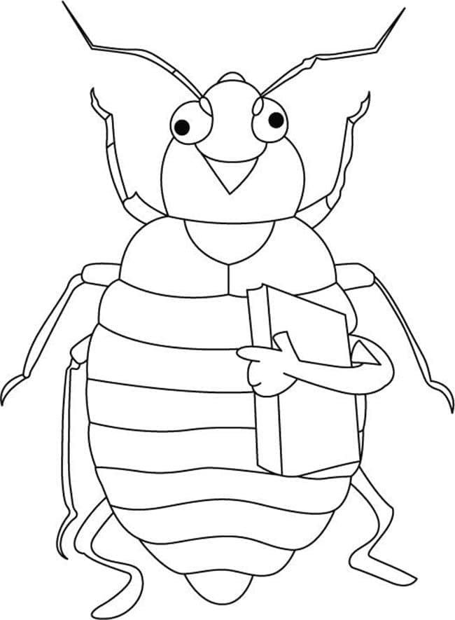 Dibujo gratuito Cigarra #187700 de la coleccion Animales para imprimir