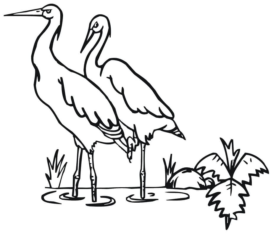 Dibujo gratuito Cigüeña #185250 de la coleccion Animales para imprimir