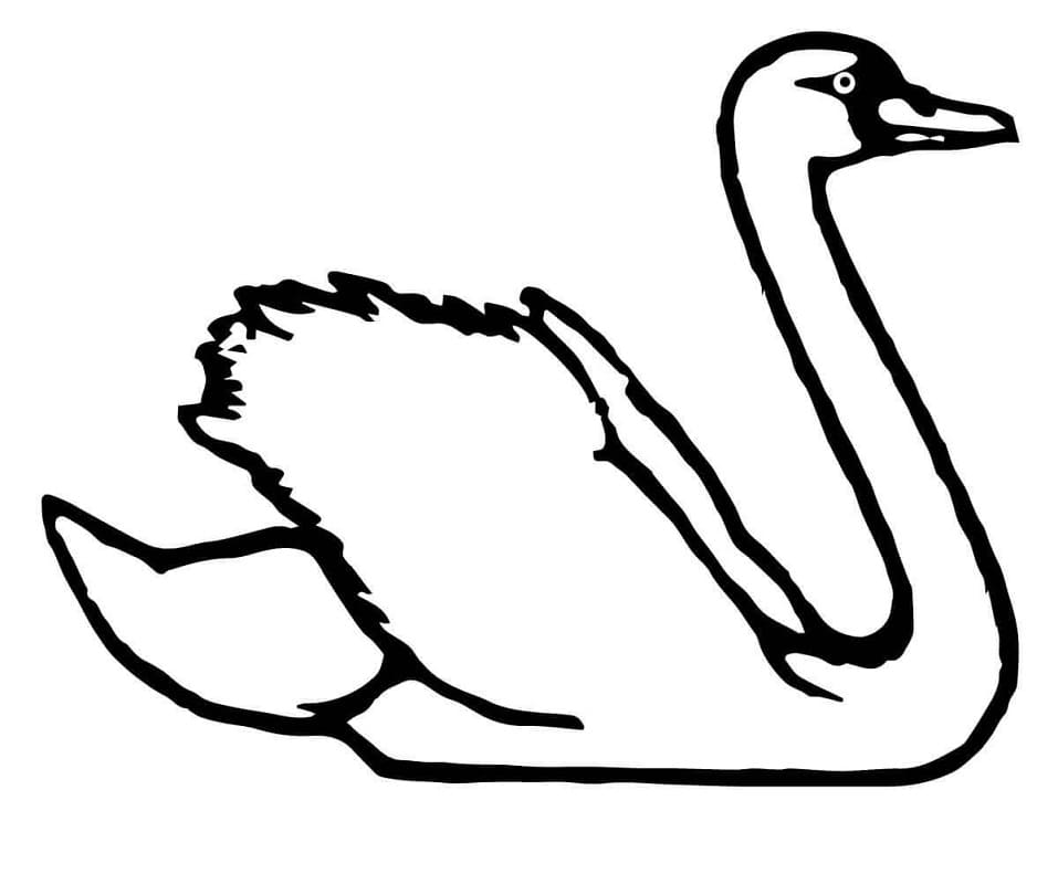 Dibujo gratuito Cisne #185216 de la coleccion Animales para imprimir