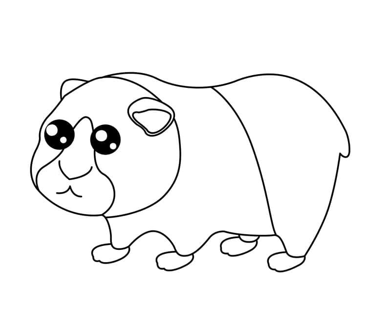 Dibujo gratuito Cobaya #211131 de la coleccion Animales para imprimir