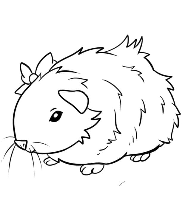 Dibujo gratuito Cobaya #211146 de la coleccion Animales para imprimir