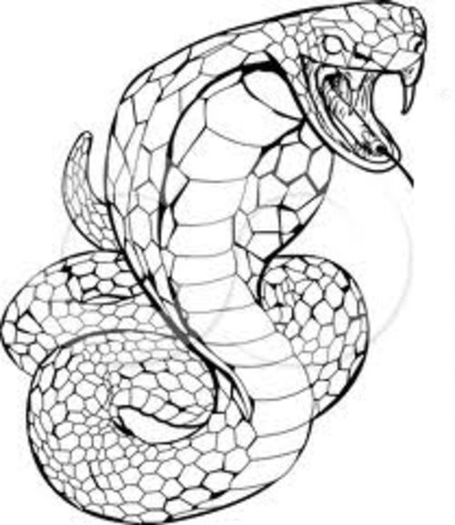 Dibujo para colorear: Cobra (Animales) #3220 - Dibujos para Colorear e Imprimir Gratis