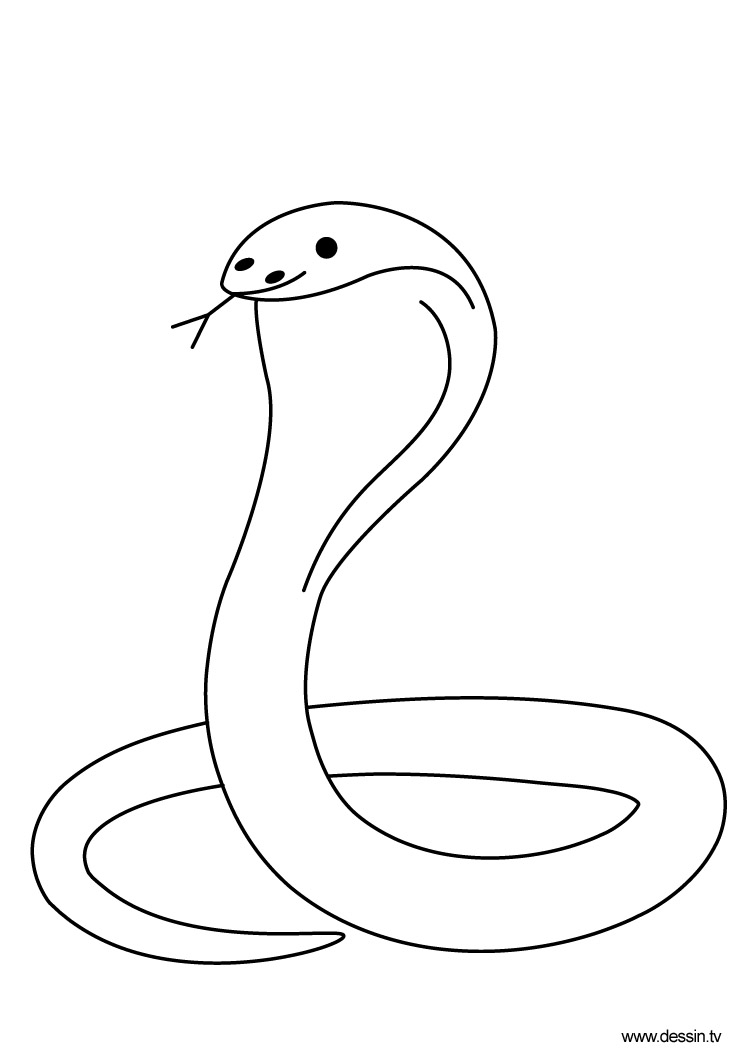 Dibujo para colorear: Cobra (Animales) #3227 - Dibujos para Colorear e Imprimir Gratis