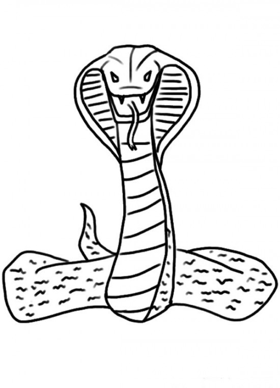 Dibujo para colorear: Cobra (Animales) #3228 - Dibujos para Colorear e Imprimir Gratis