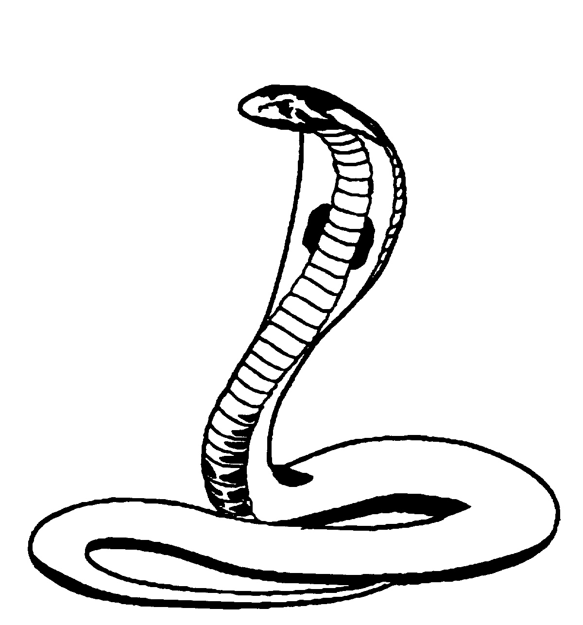 Dibujo para colorear: Cobra (Animales) #3296 - Dibujos para Colorear e Imprimir Gratis