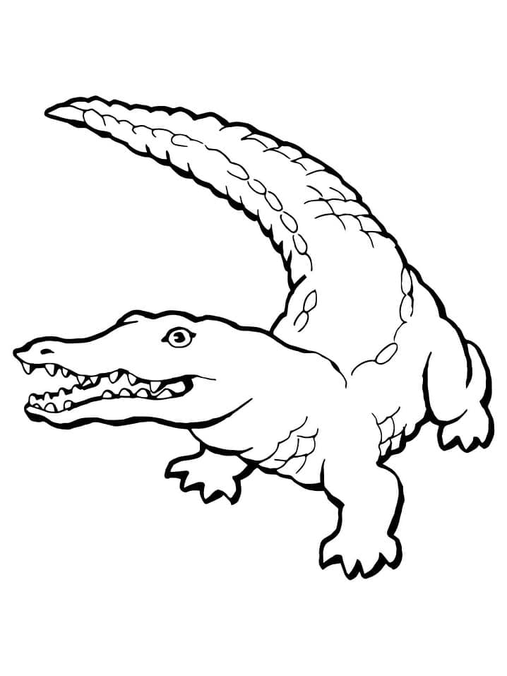 Dibujo gratuito Cocodrilo #179008 de la coleccion Animales para imprimir