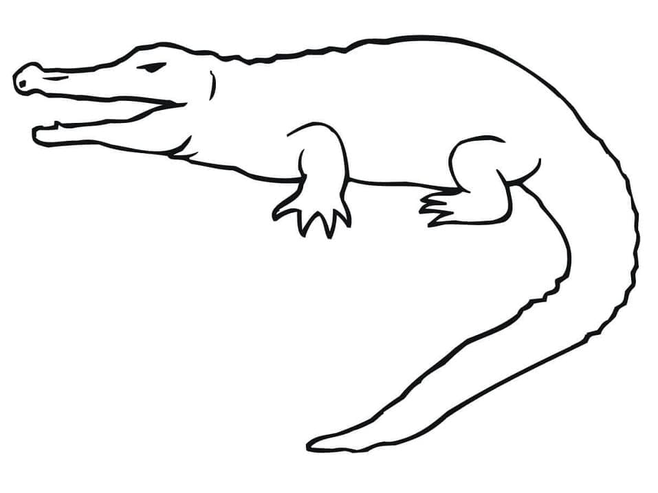 Dibujo gratuito Cocodrilo #179019 de la coleccion Animales para imprimir