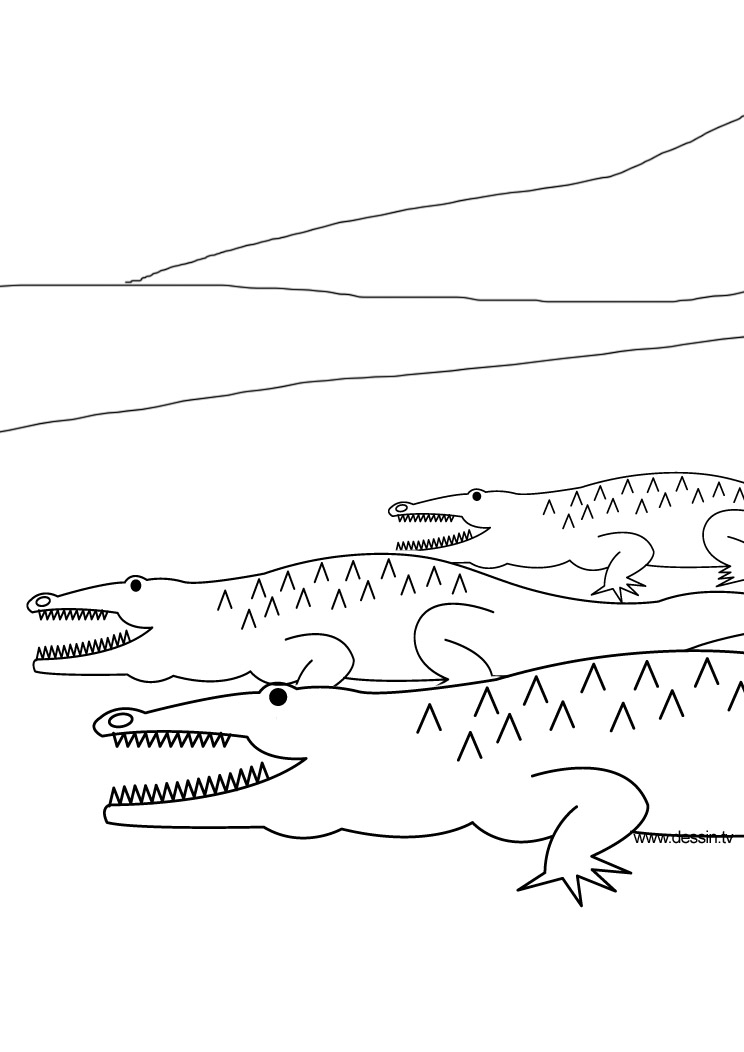 Dibujo para colorear: Cocodrilo (Animales) #4834 - Dibujos para Colorear e Imprimir Gratis