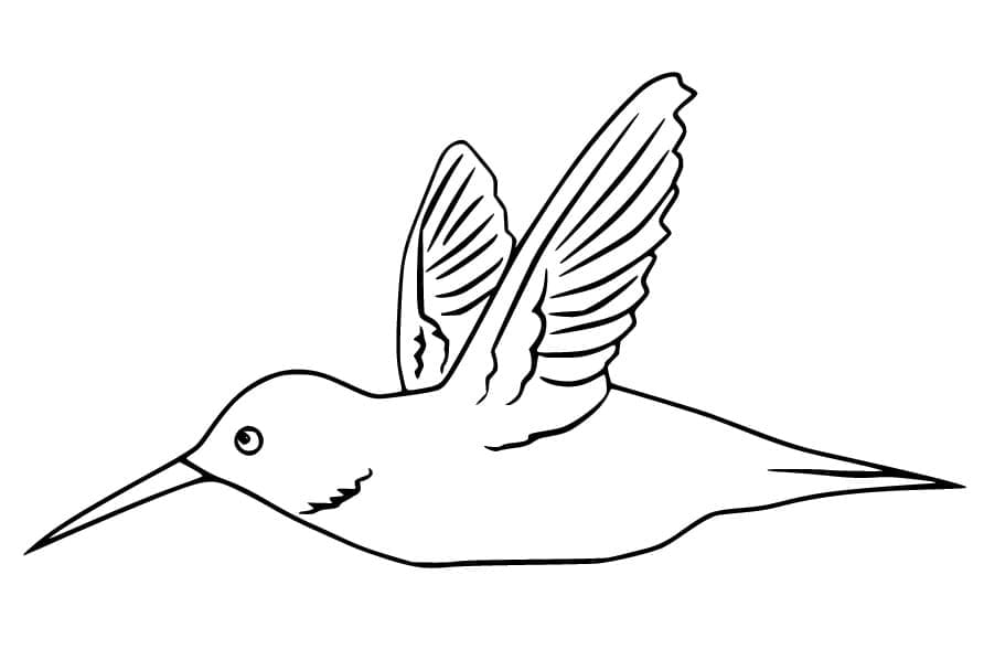Dibujo gratuito Colibrí #208593 de la coleccion Animales para imprimir