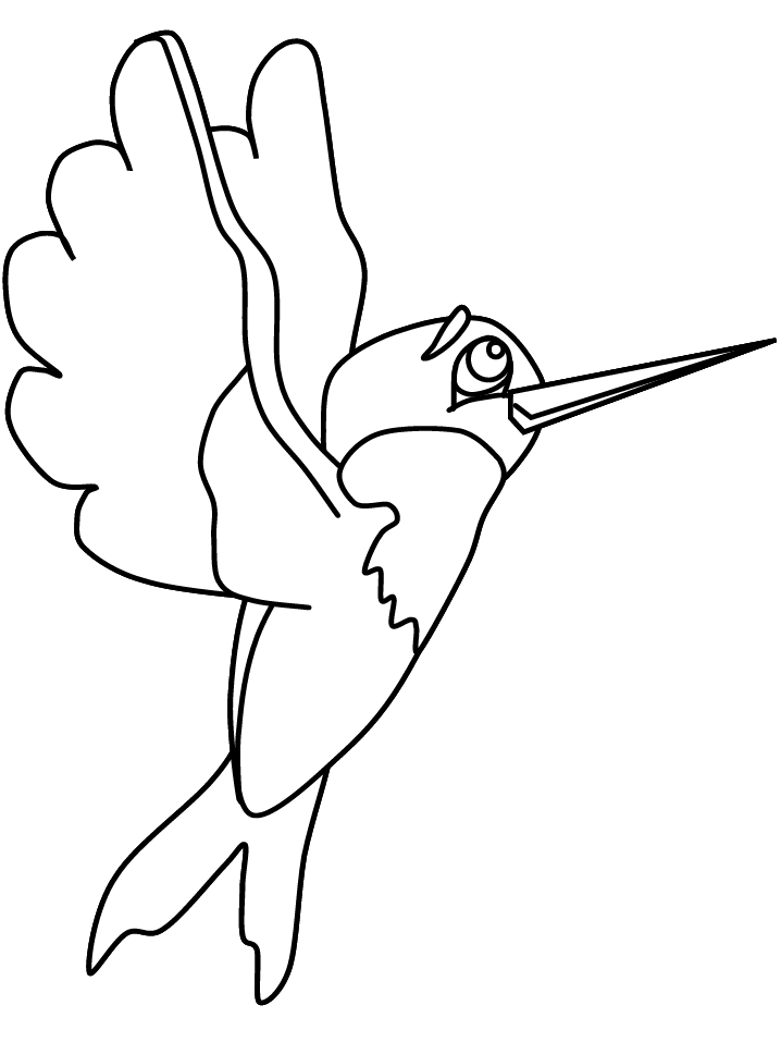 Dibujo para colorear: Colibrí (Animales) #3810 - Dibujos para Colorear e Imprimir Gratis