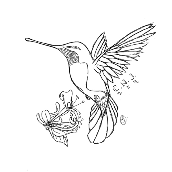 Dibujo para colorear: Colibrí (Animales) #3832 - Dibujos para Colorear e Imprimir Gratis