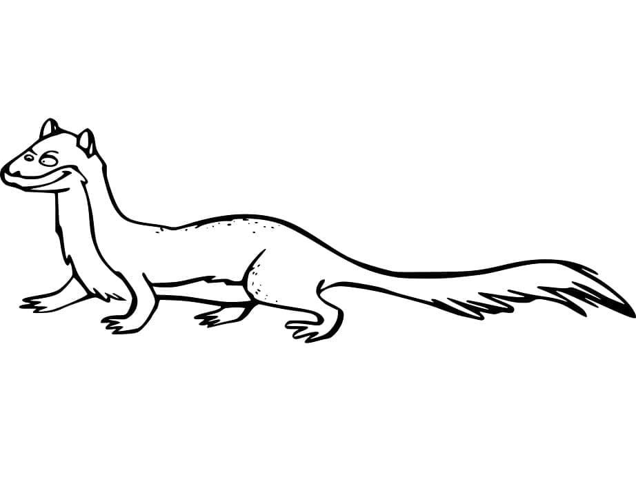 Dibujo gratuito Comadreja #205433 de la coleccion Animales para imprimir