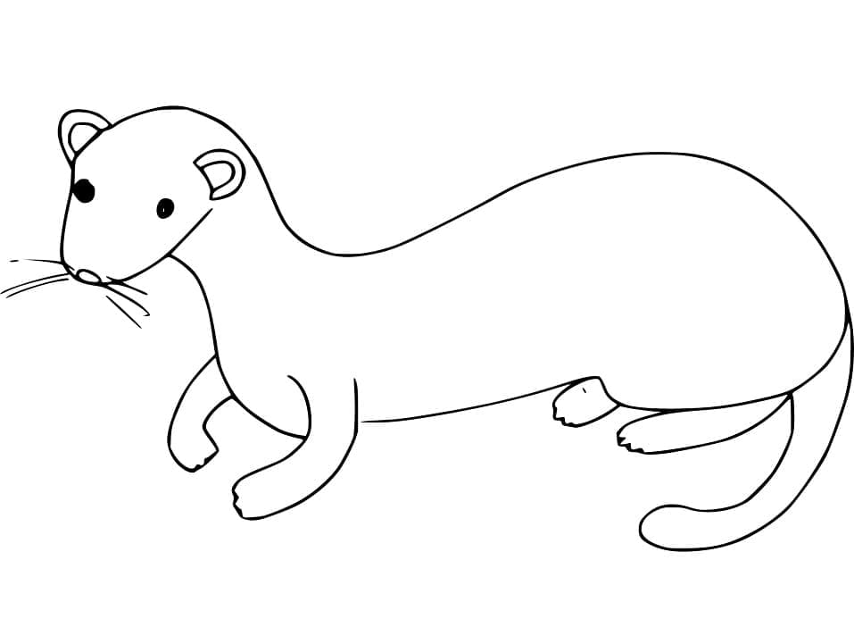 Dibujo gratuito Comadreja #205445 de la coleccion Animales para imprimir