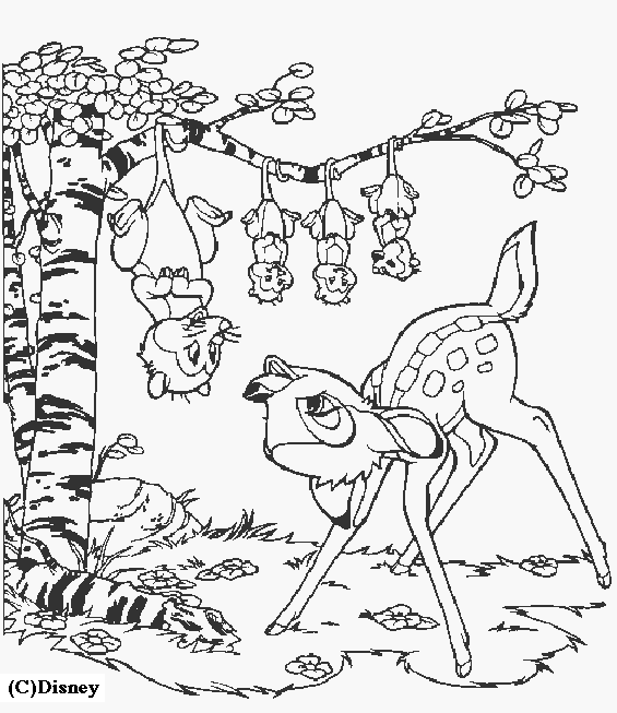 Dibujo para colorear: Coneja (Animales) #1179 - Dibujos para Colorear e Imprimir Gratis