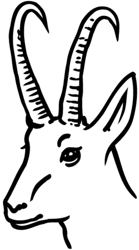Dibujo para colorear: Coneja (Animales) #1185 - Dibujos para Colorear e Imprimir Gratis