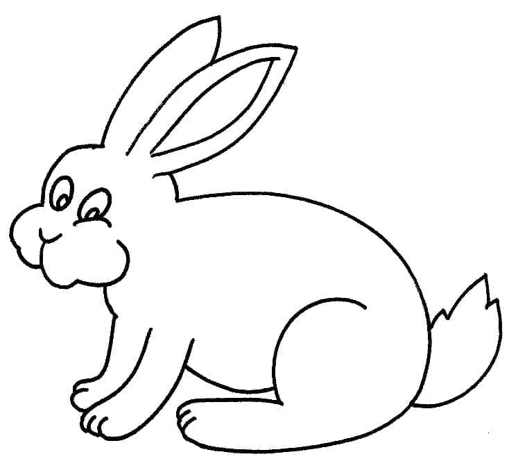 Dibujo gratuito Conejo #177198 de la coleccion Animales para imprimir