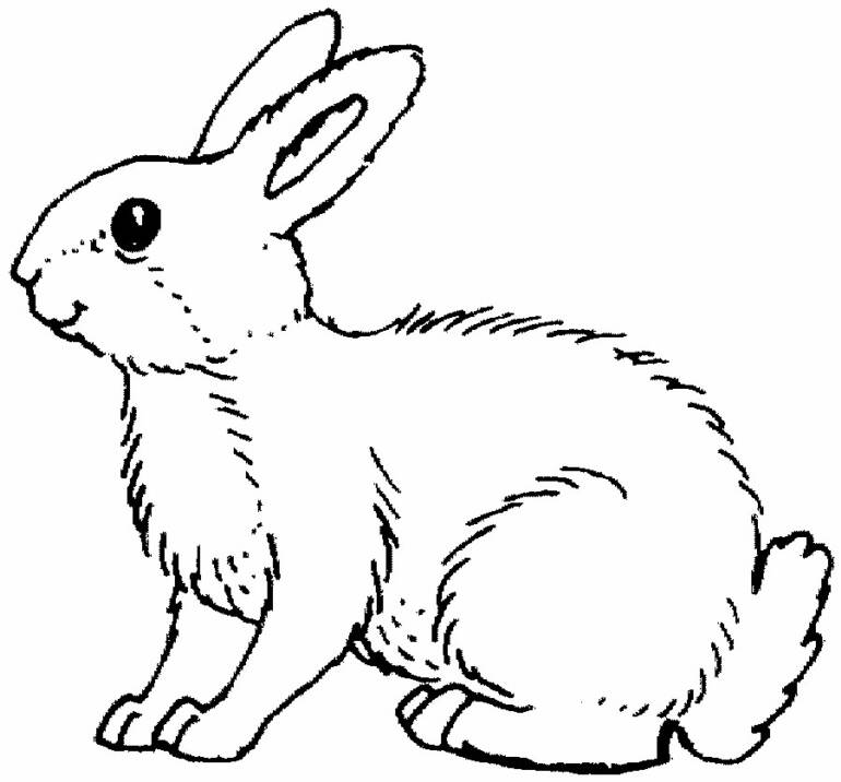 Dibujo para colorear: Conejo (Animales) #9504 - Dibujos para Colorear e Imprimir Gratis