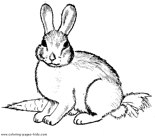 Dibujo para colorear: Conejo (Animales) #9519 - Dibujos para Colorear e Imprimir Gratis