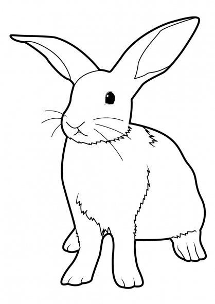 Dibujo para colorear: Conejo (Animales) #9520 - Dibujos para Colorear e Imprimir Gratis