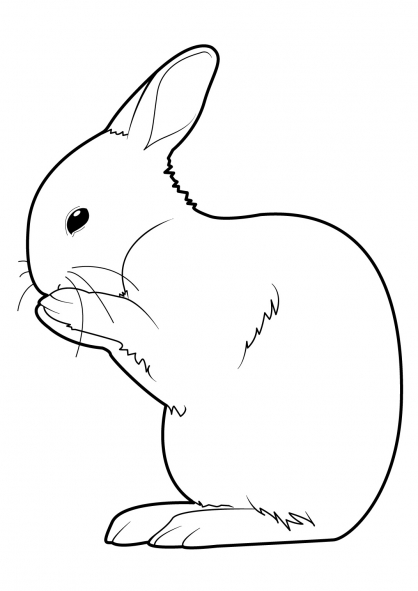 Dibujo para colorear: Conejo (Animales) #9554 - Dibujos para Colorear e Imprimir Gratis