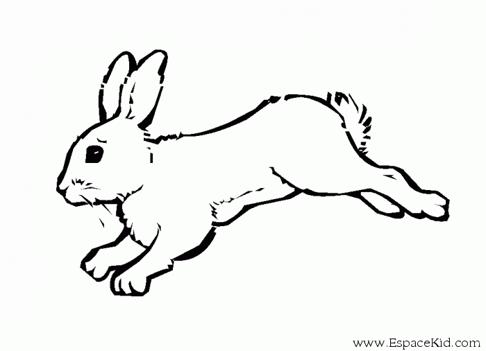 Dibujo para colorear: Conejo (Animales) #9560 - Dibujos para Colorear e Imprimir Gratis