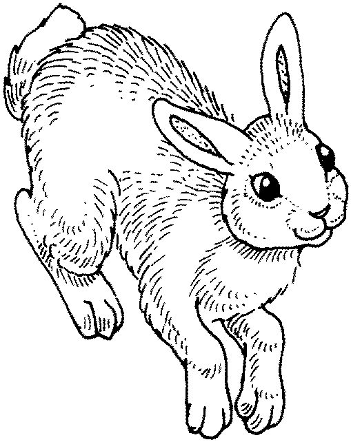 Dibujo para colorear: Conejo (Animales) #9581 - Dibujos para Colorear e Imprimir Gratis