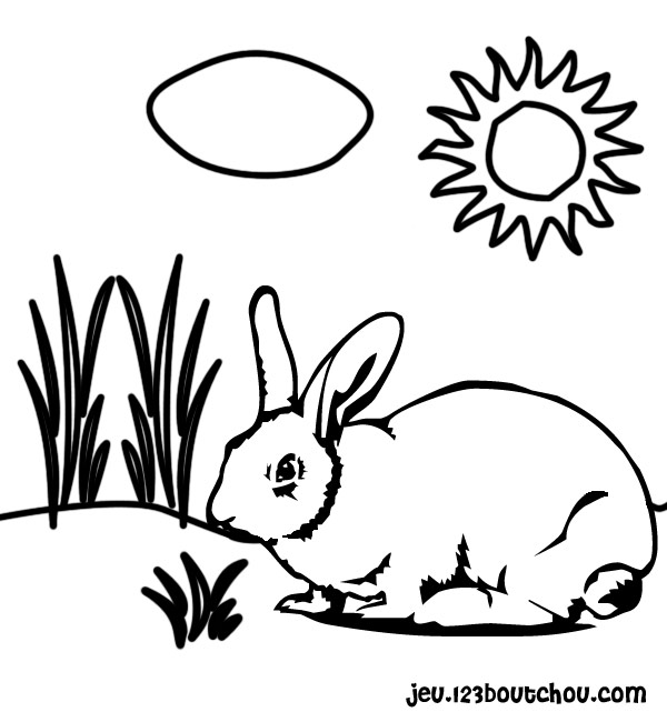 Dibujo para colorear: Conejo (Animales) #9584 - Dibujos para Colorear e Imprimir Gratis